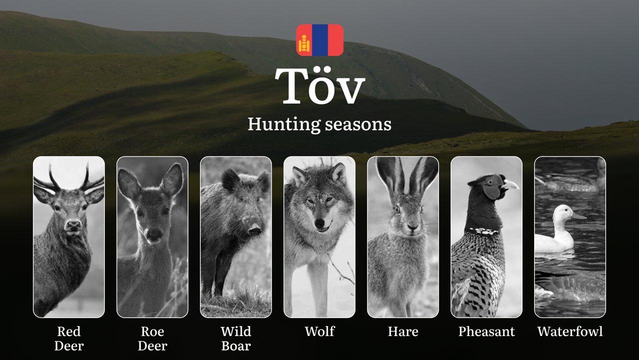 Hunting Periods and Permits in Töv Province: A Detailed Look at Game Movement Throughout the Year, Seasonal Limits, and How to Apply for a Hunting License in the Area
