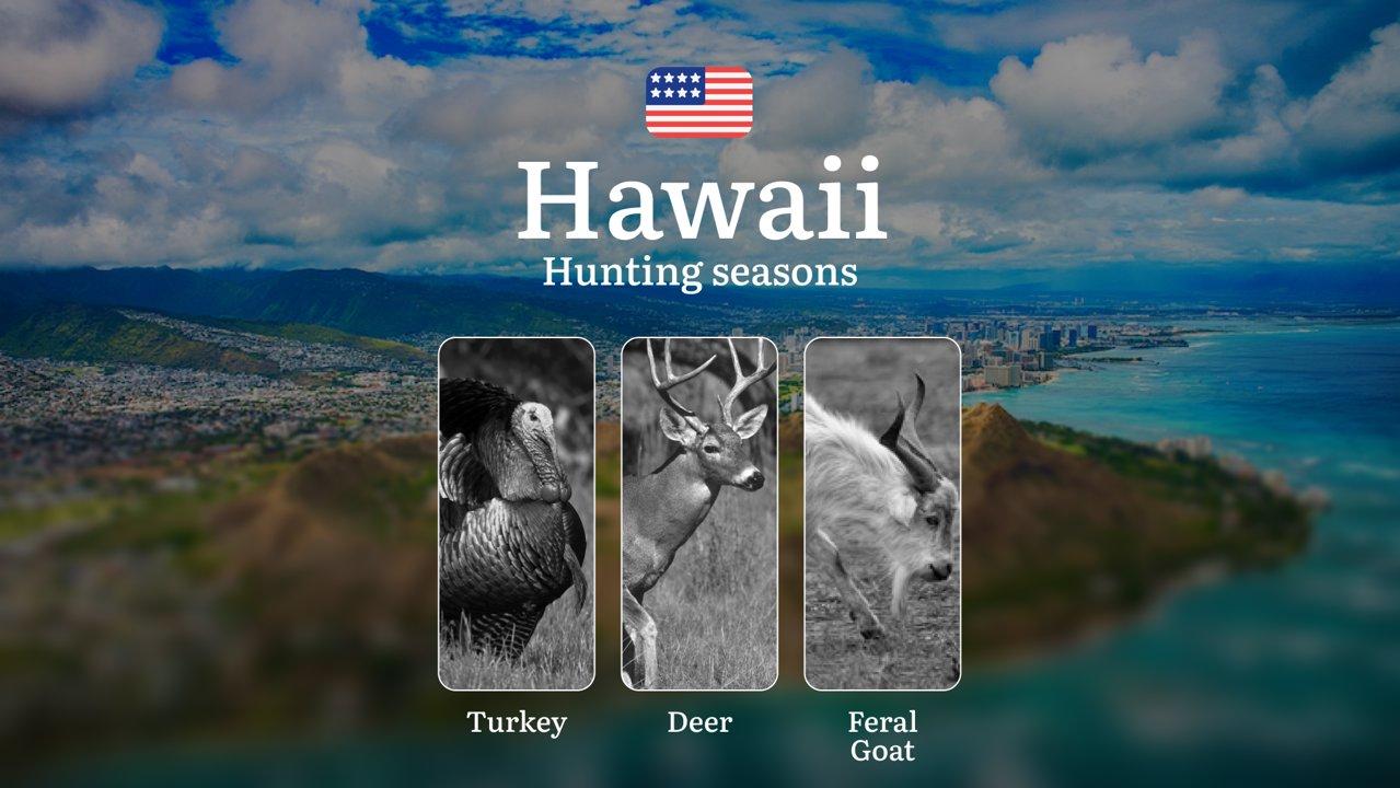 Seasons of Hunting for Axis Deer in Hawaii: Regulations, Times, and Tips, Penalties for Illegal Hunting