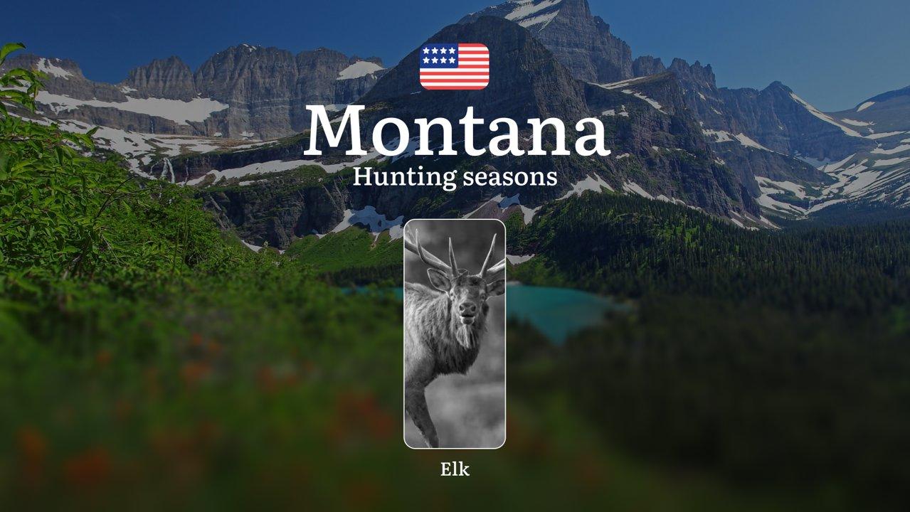Montana: Hunting Seasons, Restrictions and Prohibitions, Hunting License, Practical Tips for Hunters, Consequences for Violating Hunting

Legal Framework and Elk Hunting 