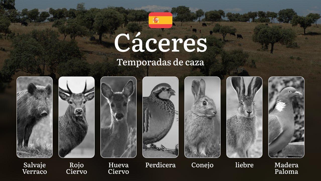 Caza en CÁCERES: Temporadas y períodos de caza, Normas y Consejos para una Temporada Exitosa