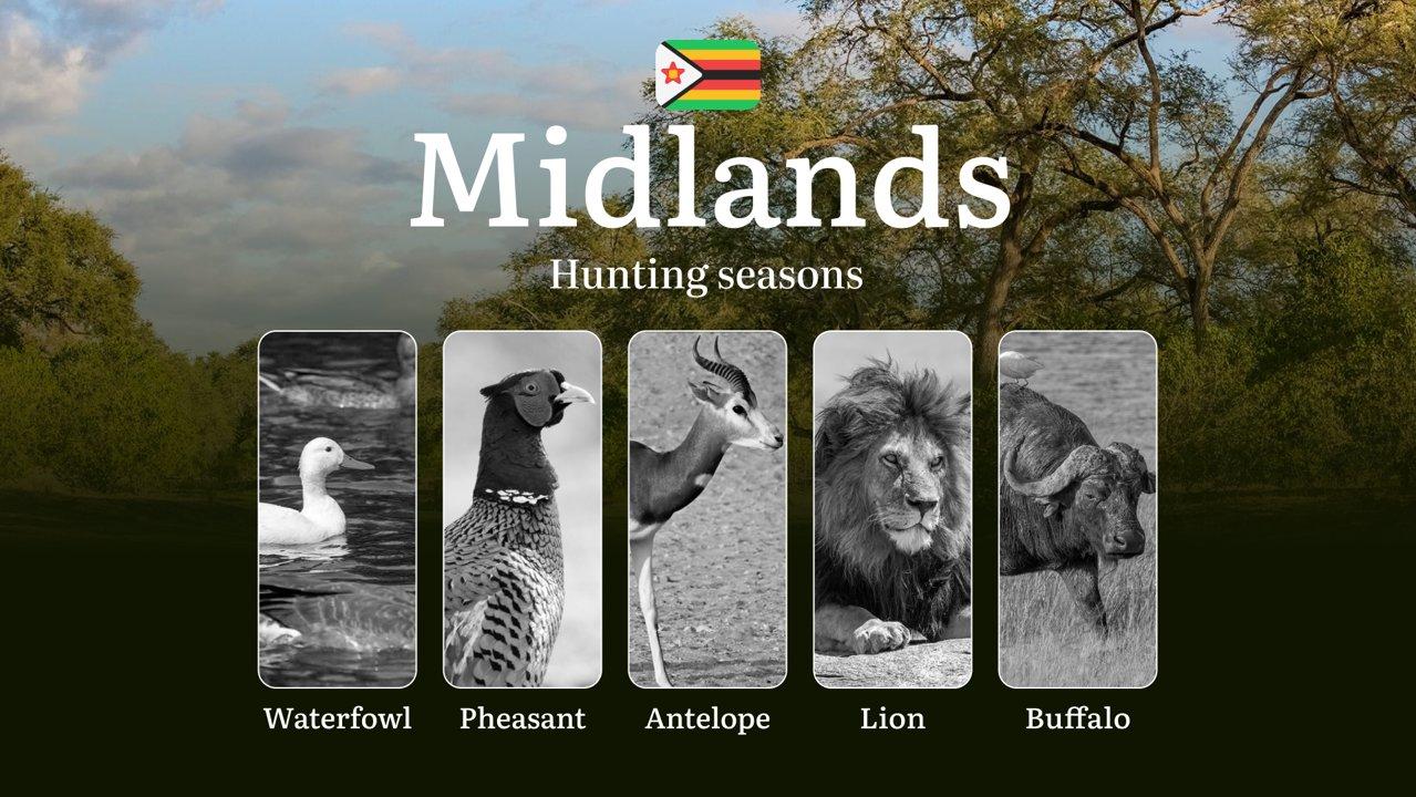 Hunting Seasons in Zimbabwe in MIDLANDS Region: Dates, Rules and Features,Restrictions and Bans, Tips for Preparation