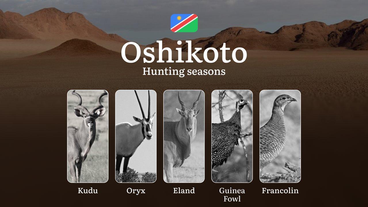 Hunting Access Dates in Oshikoto (Namibia): Hunting Limits by Law and Season, Licensing Details, Penalties for Rule Breaking, Planning Ahead, Choosing the Right Time and Tools