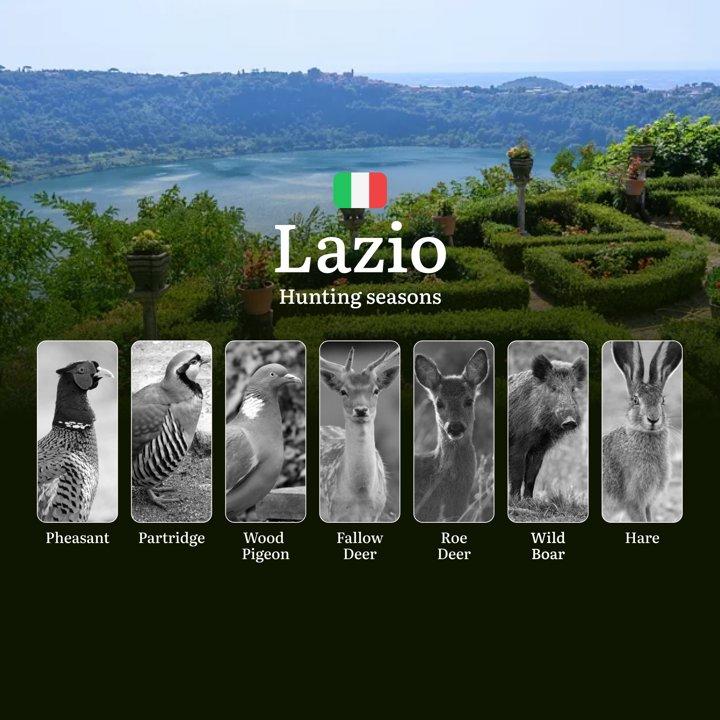 Lazio Hunting Calendar: Peak Dates for Driven Boar <strong>Hunts</strong>, Pheasant Shoots & <strong>Duck</strong> Passages in Central Italy

Lazio is a region of extraor