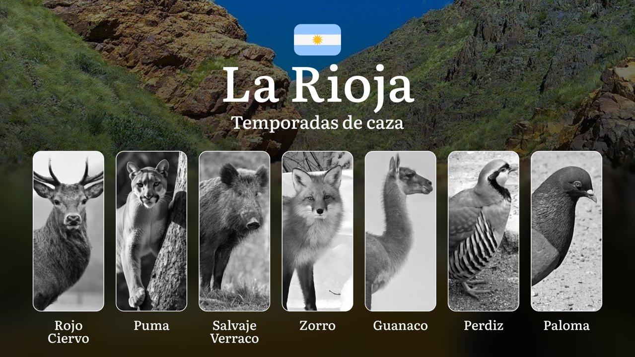 La Rioja: temporadas, licencias, reglas y mejores períodos para la captura, influencia del clima y relieve, eventos cinegéticos