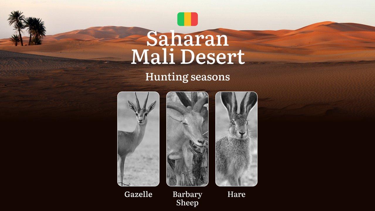 Hunting Seasons in Mali Desert: Regional Regulations, Obtaining a Hunting License in the Region, Penalties for Violating Hunting Periods, Tips for Timing, Gear, and Hunting Strategies