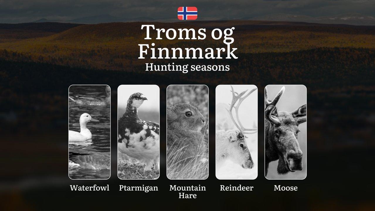 Hunting Periods and Permits in Troms og Finnmark: A Detailed Look at Game Movement Throughout the Year, Seasonal Limits, and How to Apply for a Hunting License in the Are