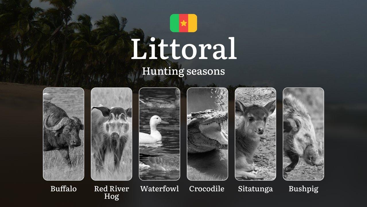 Hunting Seasons of Littoral: Exploring General Hunting Rules, Legislation and Permits, Hunter Events and Cultural Experiences