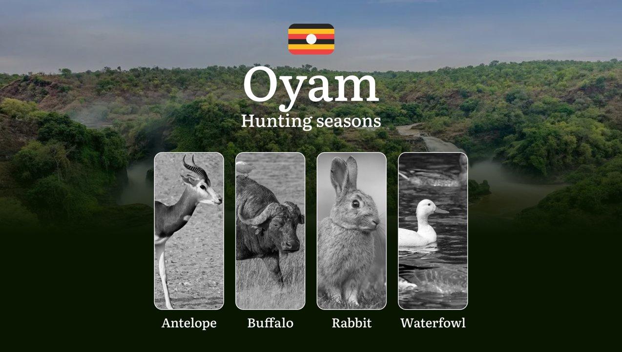 Scheduled Hunting Times in Oyam: Area Regulations, Steps to Obtain a Hunting License, Sanctions for Breaching Hunting Periods, Tips on Timing, Gear Selection, and Hunting Methods