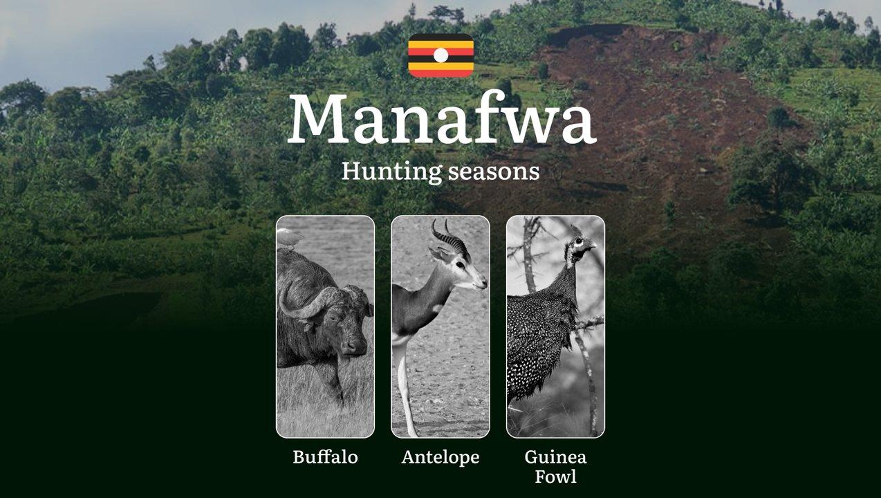 Scheduled Hunting Times in Manafwa: Area Regulations, Licensing, Penalties, and Hunting Tips