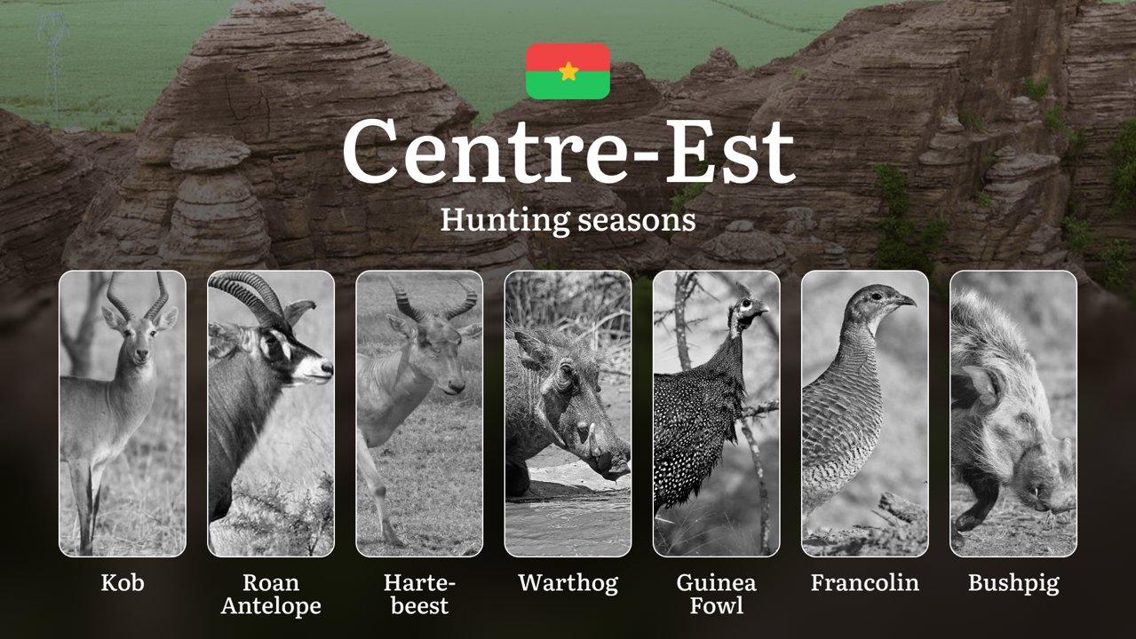 Hunting Seasons in CENTRE-EST: Key Dates, General Rules, Protected Species, Licensing Requirements and Practical Hunting Recommendations