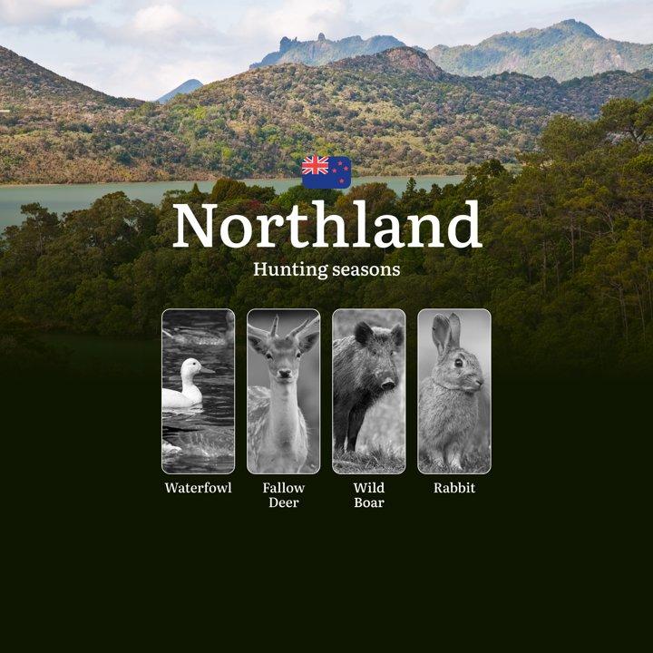 Hunting Seasons in NORTHLAND, New Zealand: Penalties for Violating Hunting Rules and Seasons, Bans and Restrictions

Rules and Dates of the Hunting Season in Northland

I