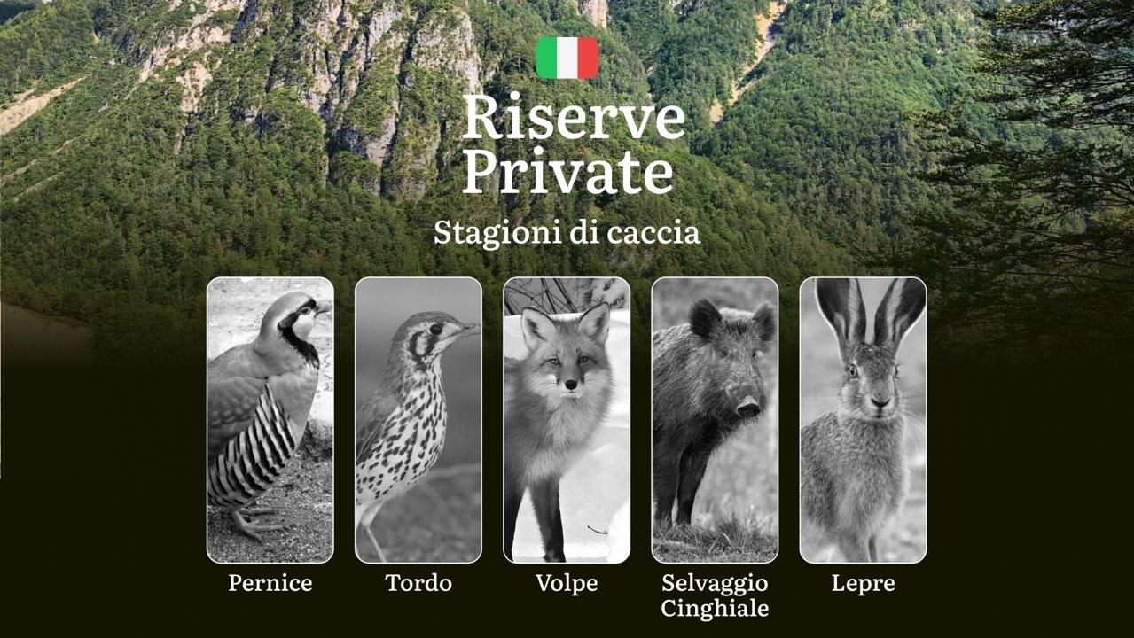 Caccia nelle Riserve Private in Italia: Normative, Gestione e Consigli per i Cacciatori