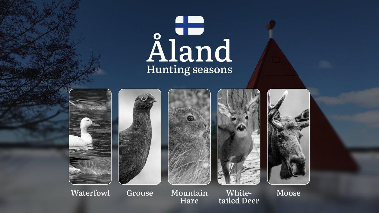 Maritime Hunting in ÅLAND: Seasons, Regional Specifics, Game Activity,  Legal Restrictions and Vital Rules

Nestled between Sweden and mainland Finland, the Åland Islands