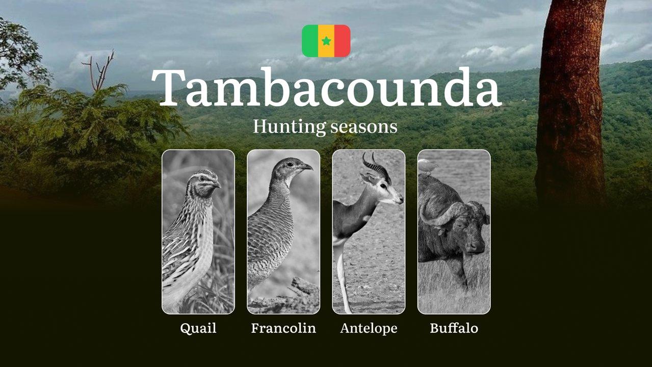 Hunting Dates in Senegal: Timing and Seasons, Regulations and Permits in the TAMBACOUNDA Region, Consequences of Violating Hunting 