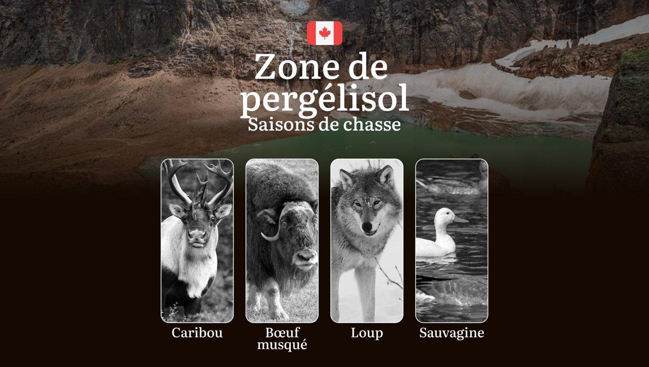 Saisons de chasse dans la ZONE DE PERGÉLISOL: dates d’ouverture/fermeture, permis obligatoires, règles strictes 

La région de pergélisol canadienne, englobant le Yukon, 