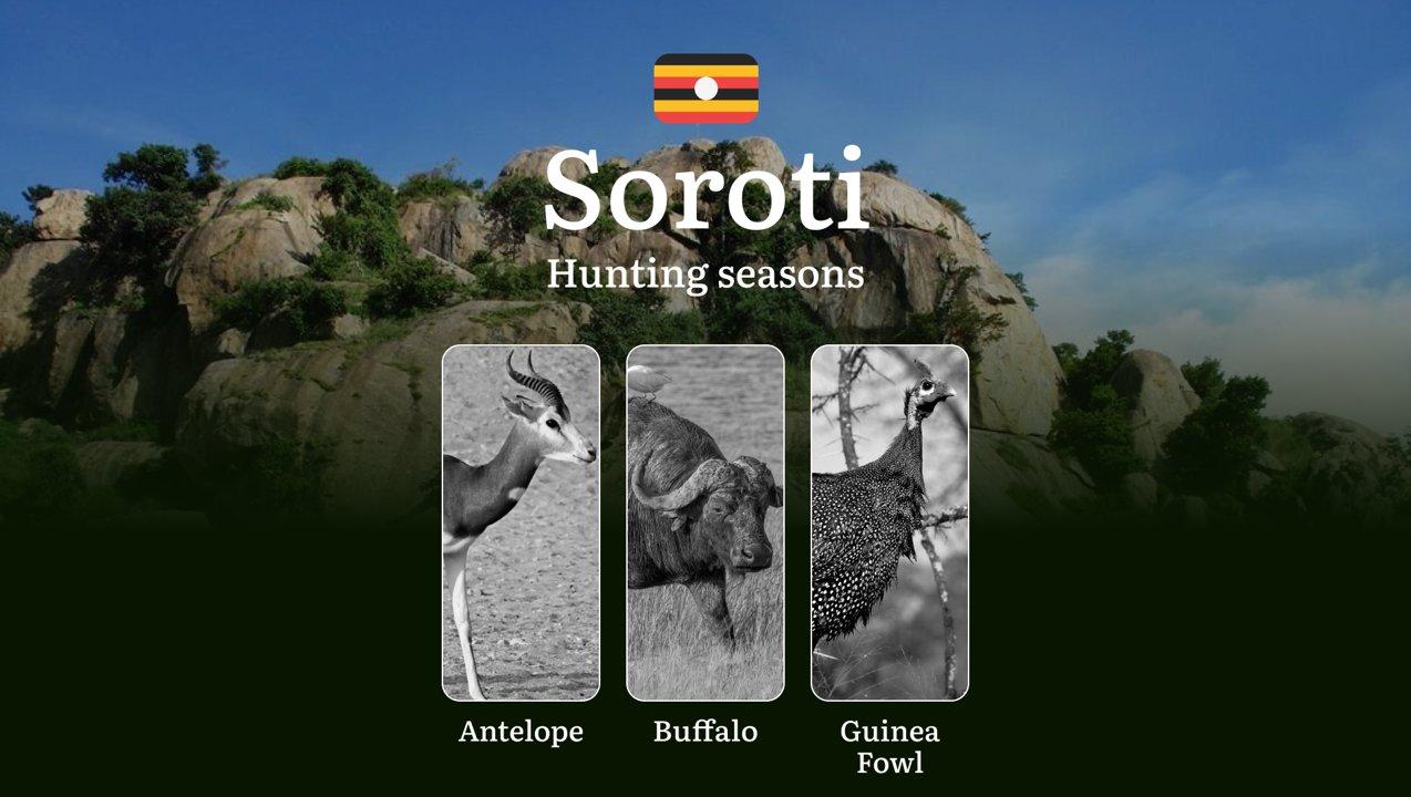 Scheduled Hunting Times in Soroti: Area Regulations, Steps to Obtain a Hunting License, Sanctions for Breaching Hunting Periods, Tips on Timing, Gear Selection, and Hunting Methods 