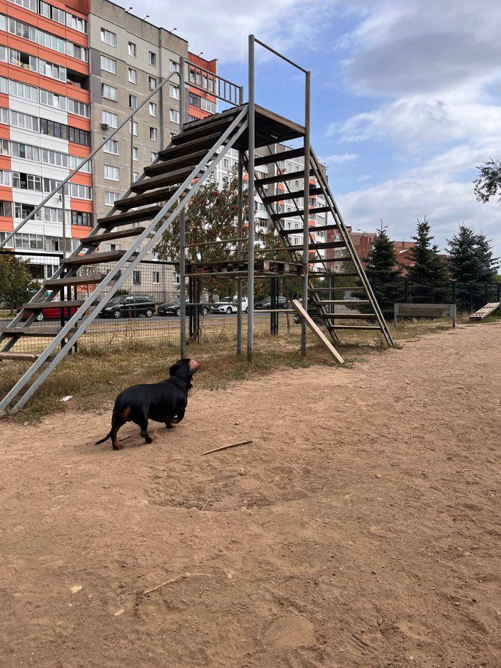 Прогулка.
