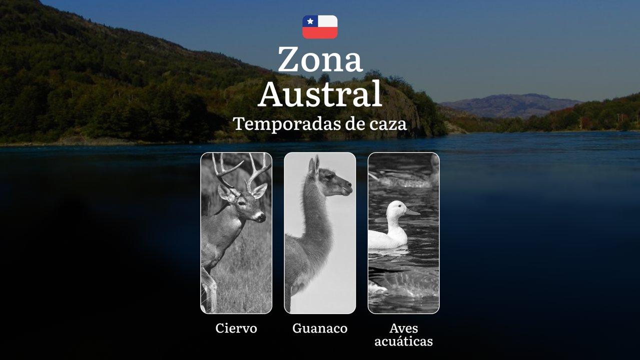 Plazos de caza en Chile, región de La Zona Austral: Temporadas, normativa y licencias, Características de la regulación, Particularidades estacionales
