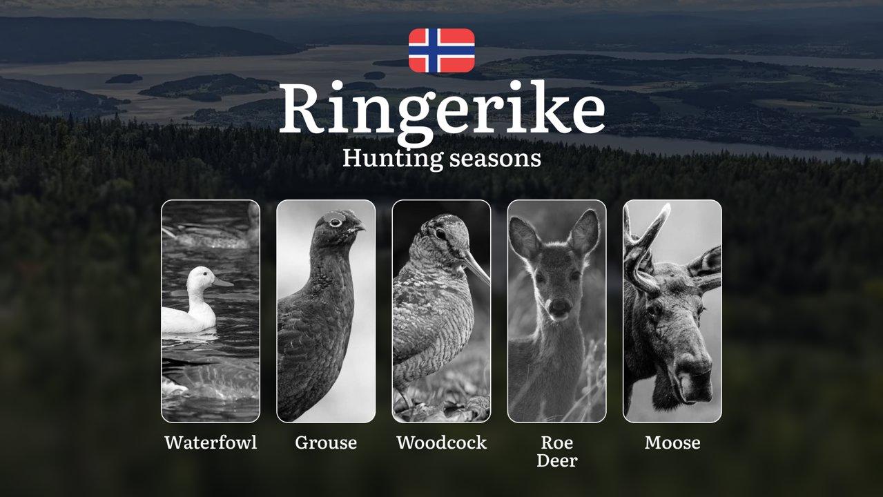 Hunting Dates in Ringerike: Seasonality of Hunting, Timing and Regulations, Hunting Permits, Restrictions and Prohibitions

Planning a hunting trip to Ringerike, Norway? 