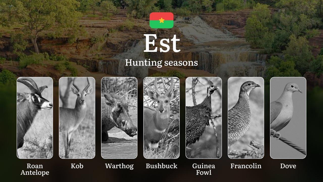 <strong>Hunting</strong> Seasons in EST: General Regulations, Wildlife Activity, Obtaining <strong>Hunting</strong> Permits, Practical Recommendations, Legal Restrictions