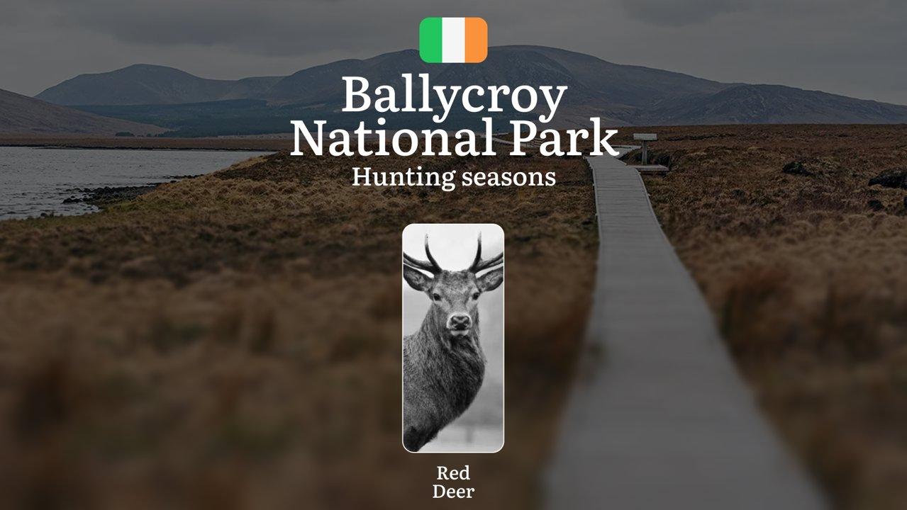 BALLYCROY NATIONAL PARK Hunting Seasons: Hunting Calendar, Licensing Essentials, and Expert Strategies for Ireland's Wilderness

General Hunting Rules and Seasons in Ball