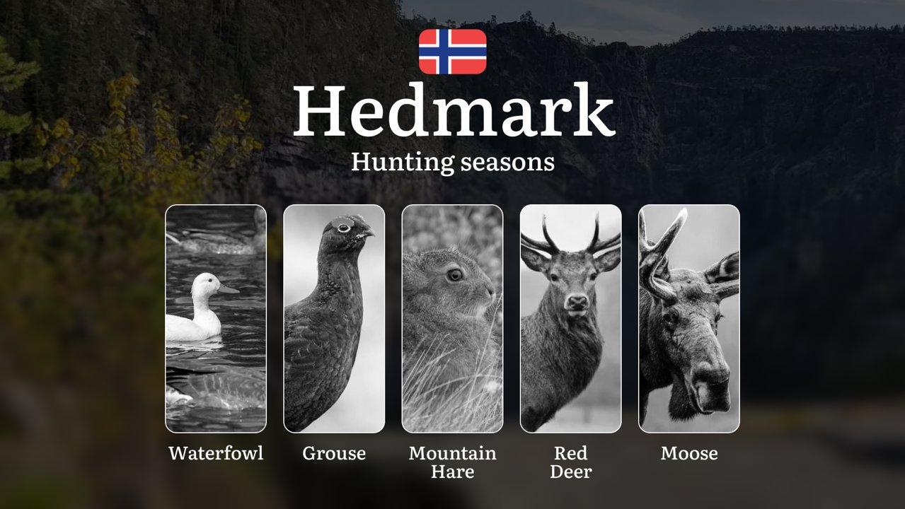 Hunting Periods and Permits in Hedmark: A Detailed Look at Game Movement Throughout the Year, Seasonal Limits, and How to Apply for a Hunting License in the Area

Plannin