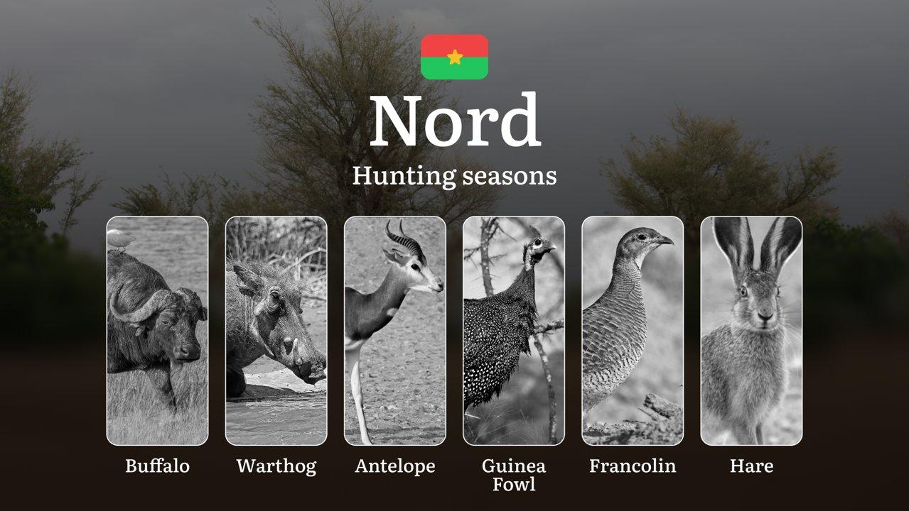 Hunting Seasons in NORD: Key Dates, General Rules, Obtaining Hunting Licenses, Restrictions and Protected Species