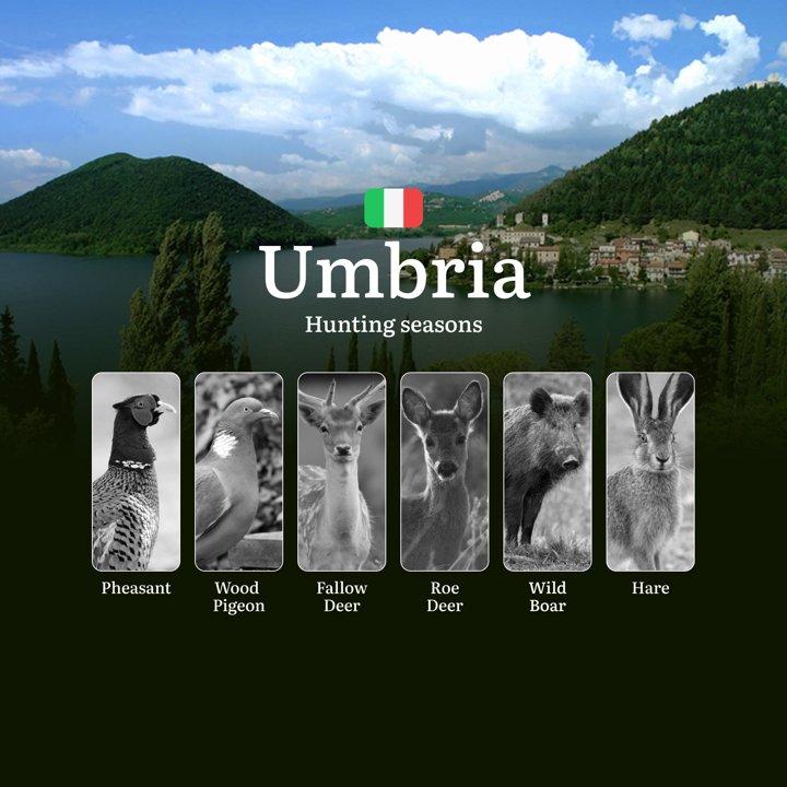 From Trasimeno to the Apennines: Umbria's <strong>Hunting</strong> Seasons Explained – Opening Dates, Special Permits and Prohibited Periods

The <strong>hunting</strong>