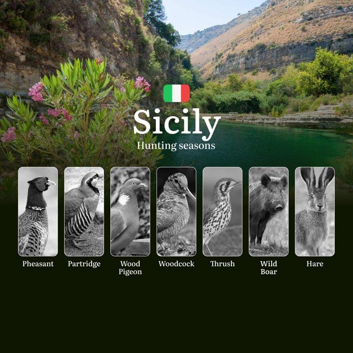 Sicily Hunting Seasons and Calendar: Ancient Traditions Meet Modern Dates in Nebrodi and Madonie Ranges