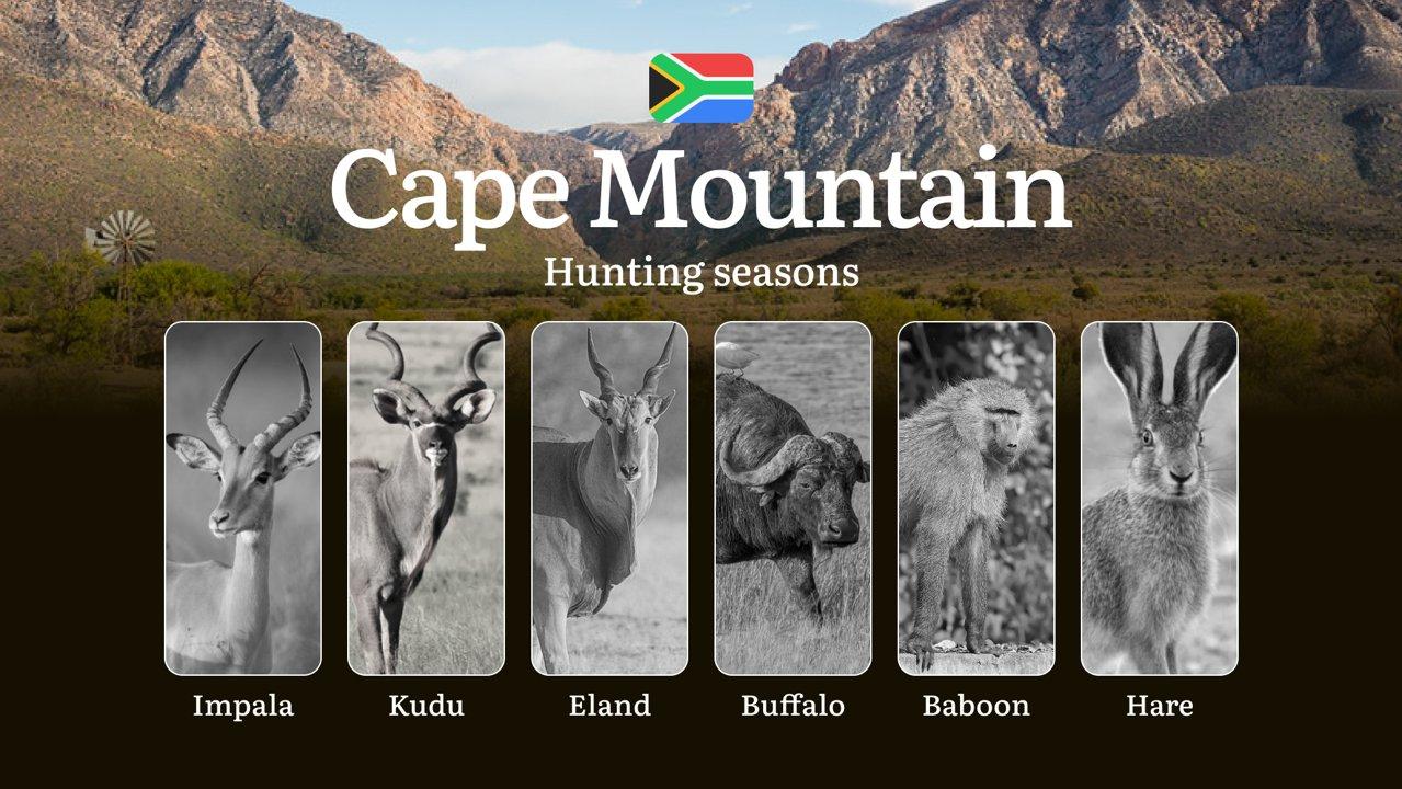 Time of Hunting in South Africa, The Cape Mountain Region Guide: Seasonal Hunting Features, Penalties and Consequences, Tips for Choosing the Right Time

Rules and Timefr