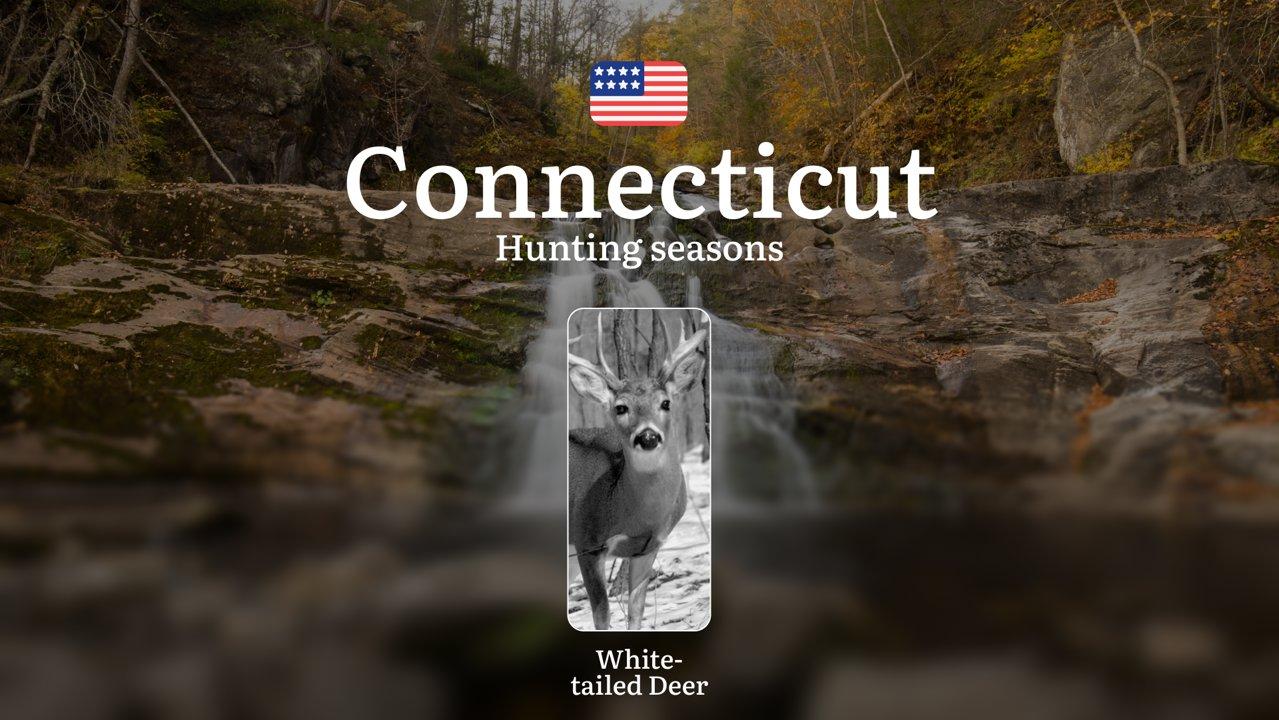 <strong>Deer</strong> <strong>Hunting</strong> Seasons in Connecticut: Timing, Licenses, Rules, Restrictions and Prohibitions, <strong>Hunting</strong> Tips

<strong>Hunt
