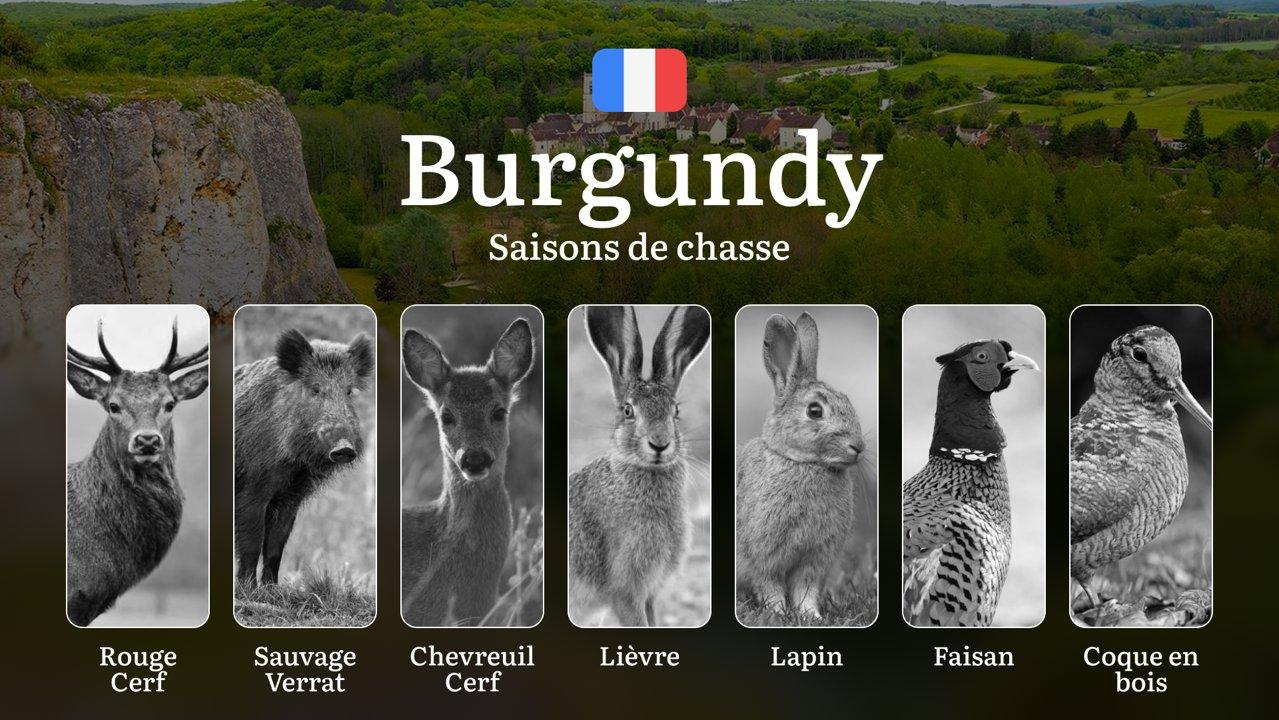 Saisons de Chasse en BOURGOGNE: Calendrier de la Chasse , Règles Générales,  Périodes Clés, Restrictions à Respecter  et Obtention des Permis et Licences