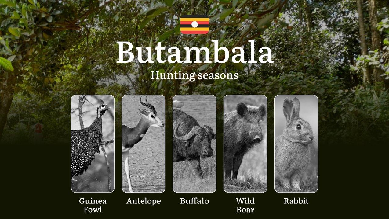 Seasonal Hunting Periods <strong>in</strong> Butambala: Limits and Seasonal Prohibitions, Licensing Conditions, Fines and <strong>Legal</strong> Effects of Non-Compliance
