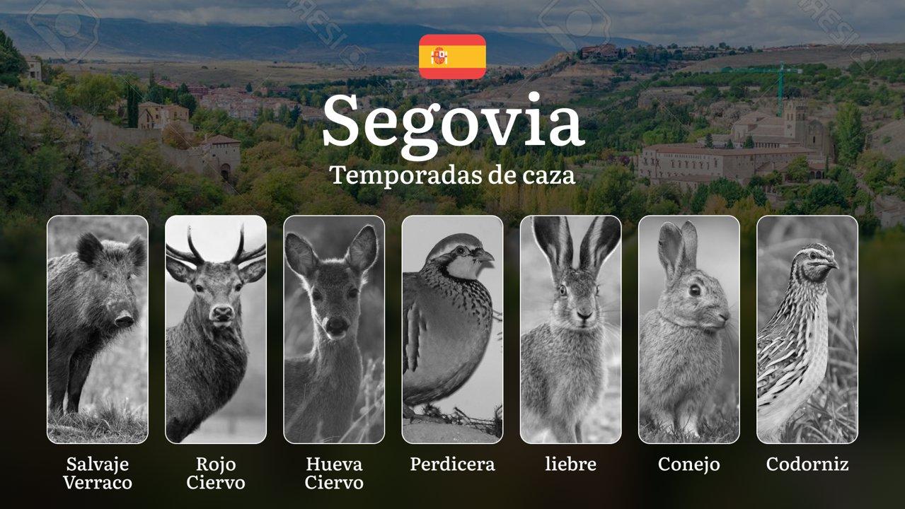 Temporadas y períodos de caza en SEGOVIA: Normativas, Épocas y Consejos para una Práctica Responsable