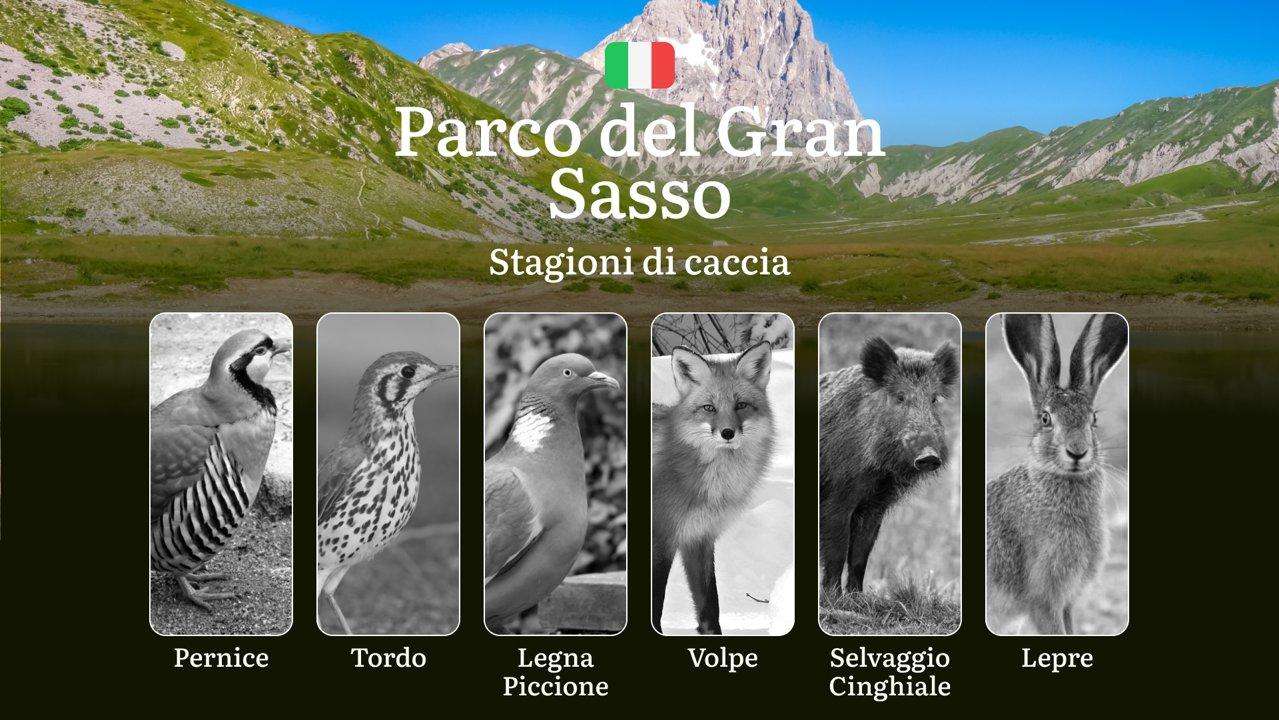 Tra il Gran Sasso e i Monti della Laga: Calendario Venatorio con Date e Aree Autorizzate