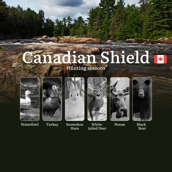 THE CANADIAN SHIELD Hunting Seasons: Key Opening and Closing Dates, Required Licenses and Essential <strong>Rules</strong>

Nestled in Canada's heartland, the Canadian Sh