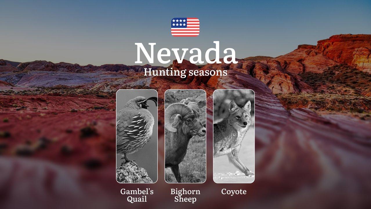 Hunting seasons in the Nevada Desert: Rules, Dates, and Hunting Dates, Hunting Restrictions and Prohibitions 

When Can You Hunt in the Nevada Desert, Seasonal Features

