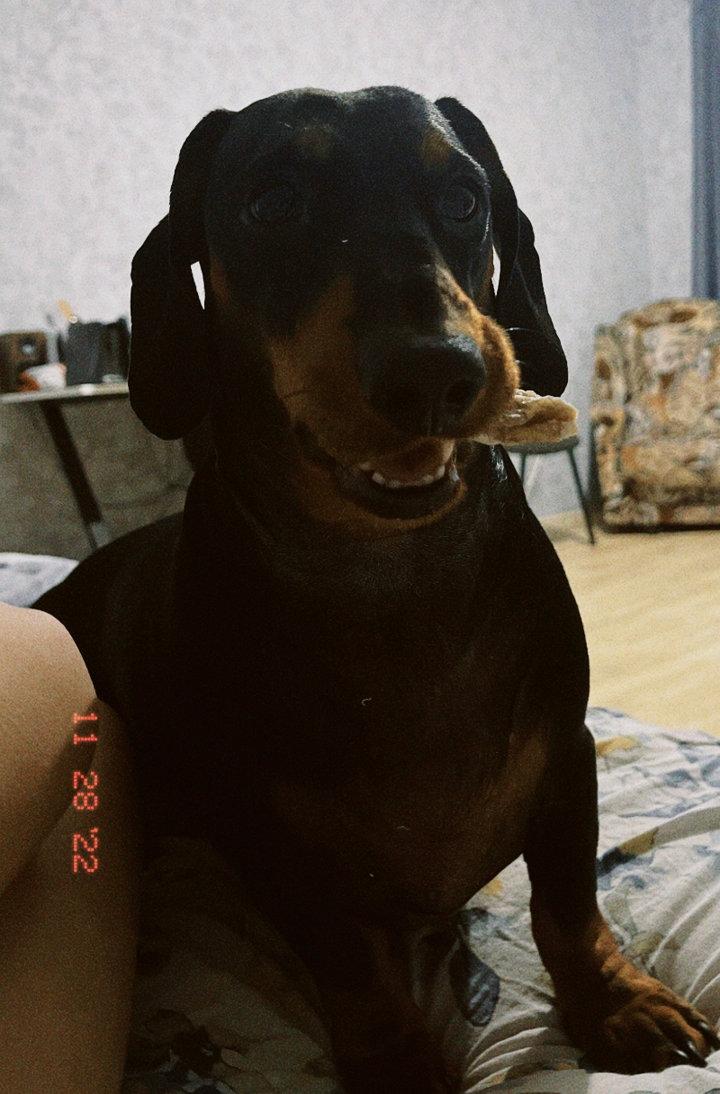 GM 🤭