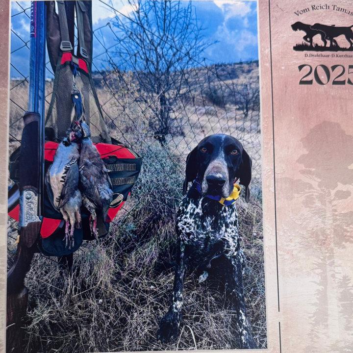 Kyriakos Hadjikallis