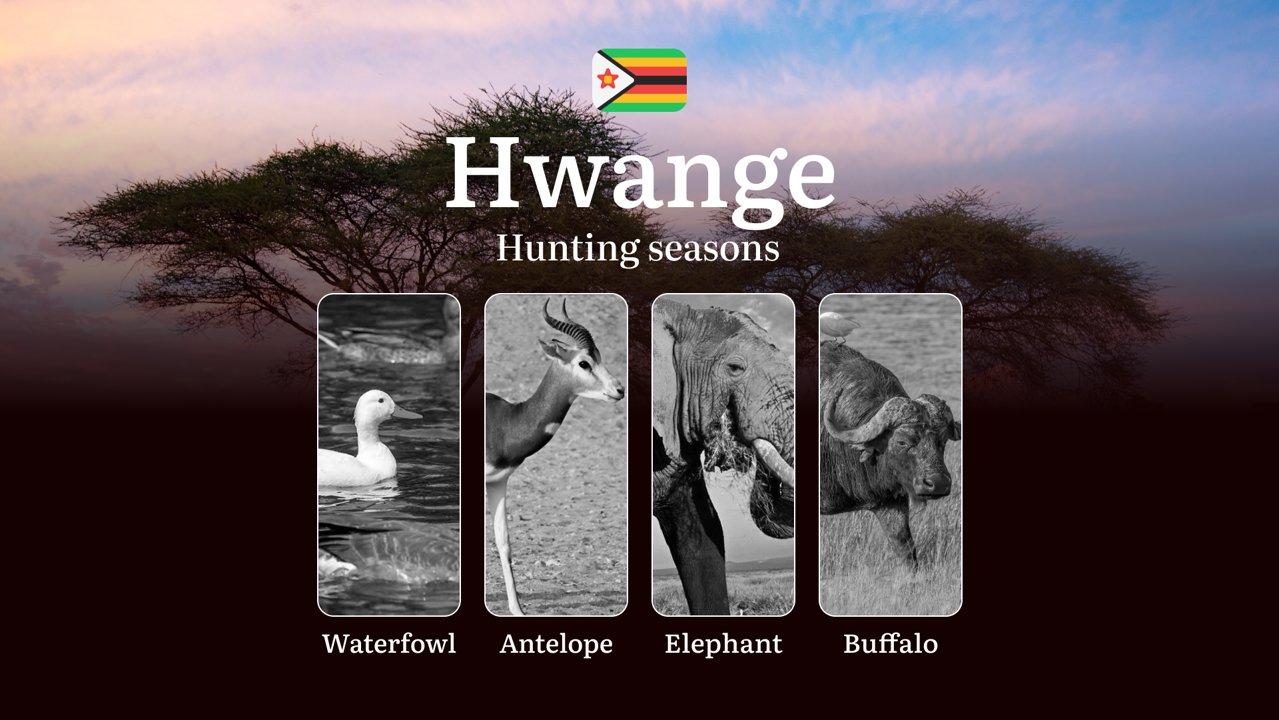 Dates of Hunting in HWANGE NATIONAL PARK, Zimbabwe: Hunting Periods, Licenses, Rules and Times for Harvesting, Restrictions and Prohibited Species