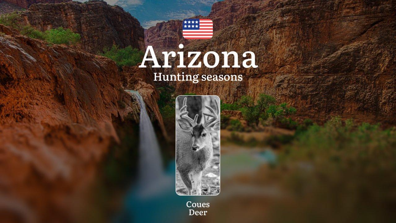 <strong>Hunting</strong> Seasons in Arizona for Coues <strong>Deer</strong>: Dates, Licenses, Rules, and Tactics, Seasonal Features, Penalties for Violating <strong>Hunti
