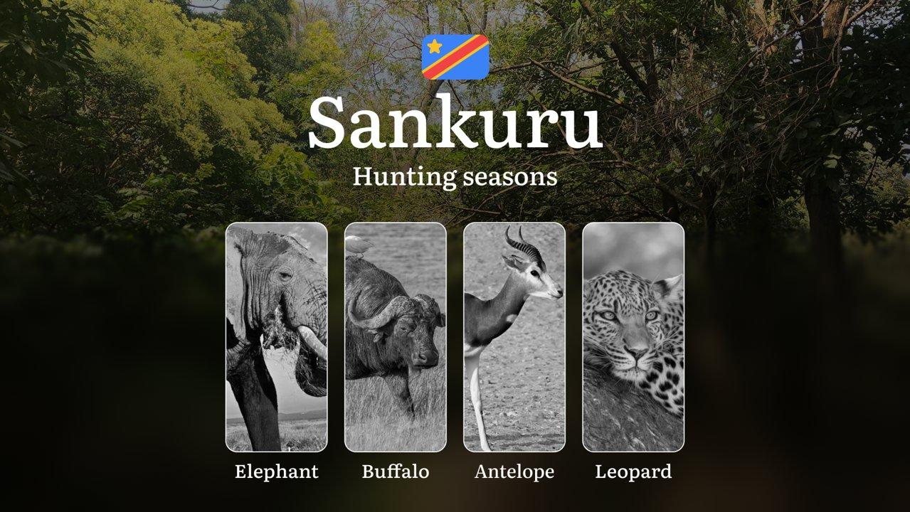 Hunting Calendar for Sankuru (DRC): Regional Hunting Rules, Licensing Procedures, Off-Season Violation Penalties, and Strategic Advice on Timing, Equipment, and Technique