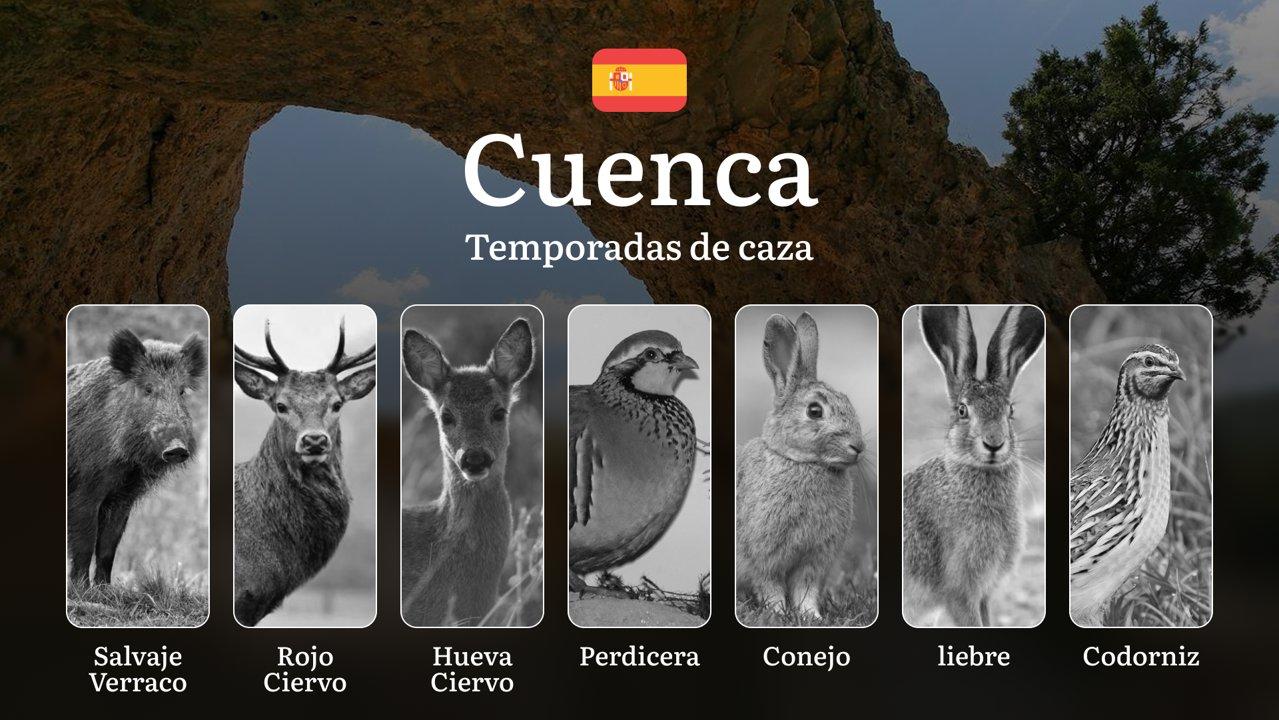 Caza en CUENCA: Temporadas y períodos de caza, Normas y Consejos para Disfrutar de la Caza Legal y Responsable