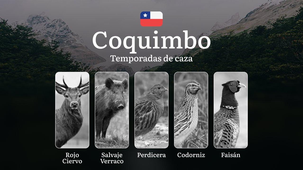 Chile, región de Coquimbo: Temporadas de caza, licencias y normas, tipos de presa y épocas óptimas para la caza, multas y responsabilidades legales