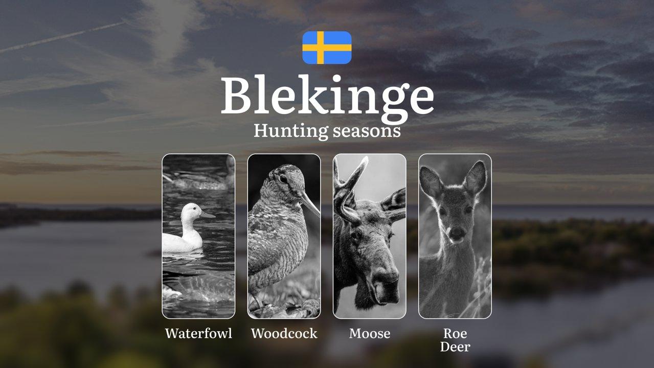 Hunting Periods in BLEKINGE: When and What You Can Hunt, Seasonal Game Patterns, and Everything You Need to Know to Obtain a Valid Hunting License in the Region