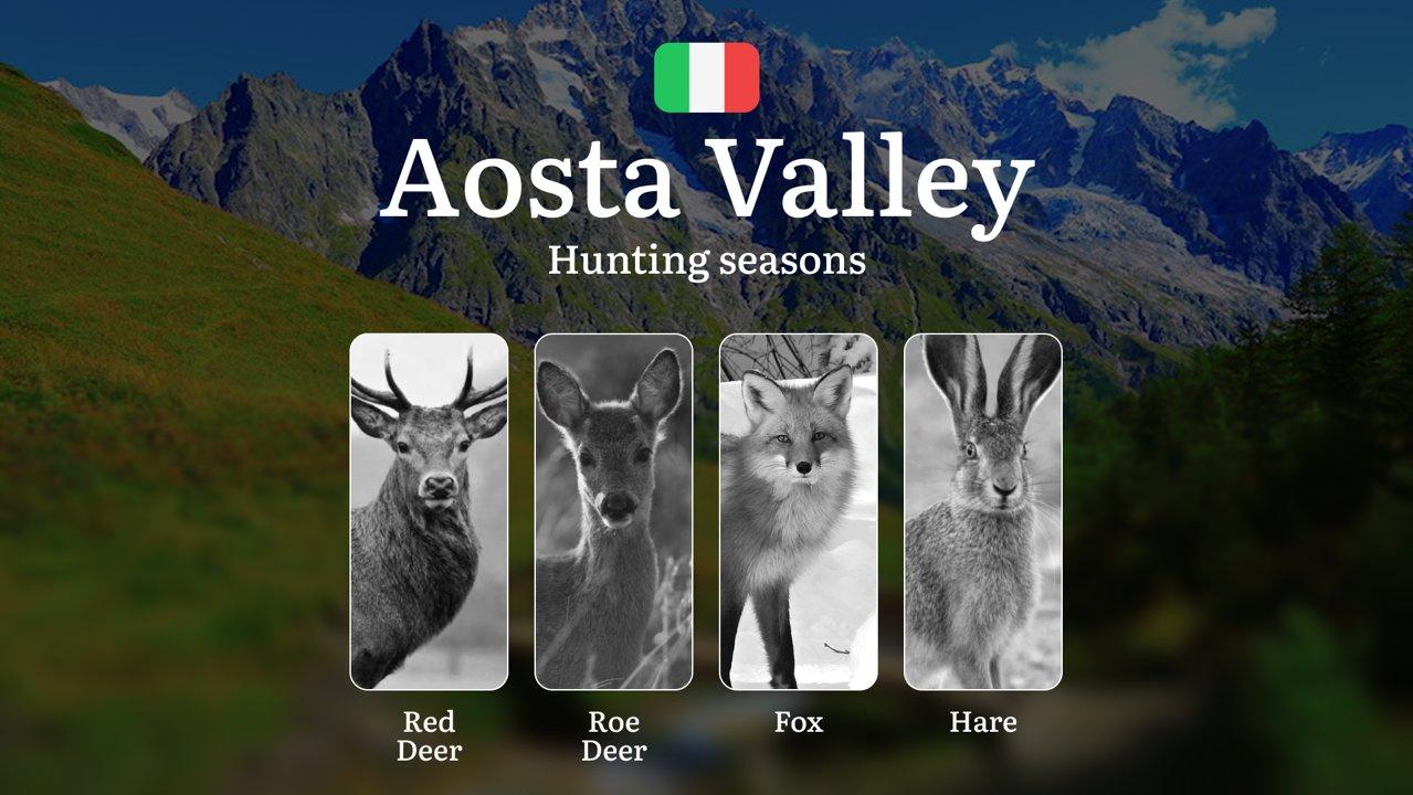 Valle d'Aosta Hunting Calendar: Exclusive Dates for Europe's Most Challenging Mountain Pursuits

The Aosta Valley, with its pristine alpine landscapes, offers a unique hu