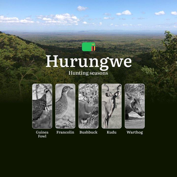 Tracking Time and Terrain: Hunting Seasons and Calendar in the Hurungwe Region of Zambia