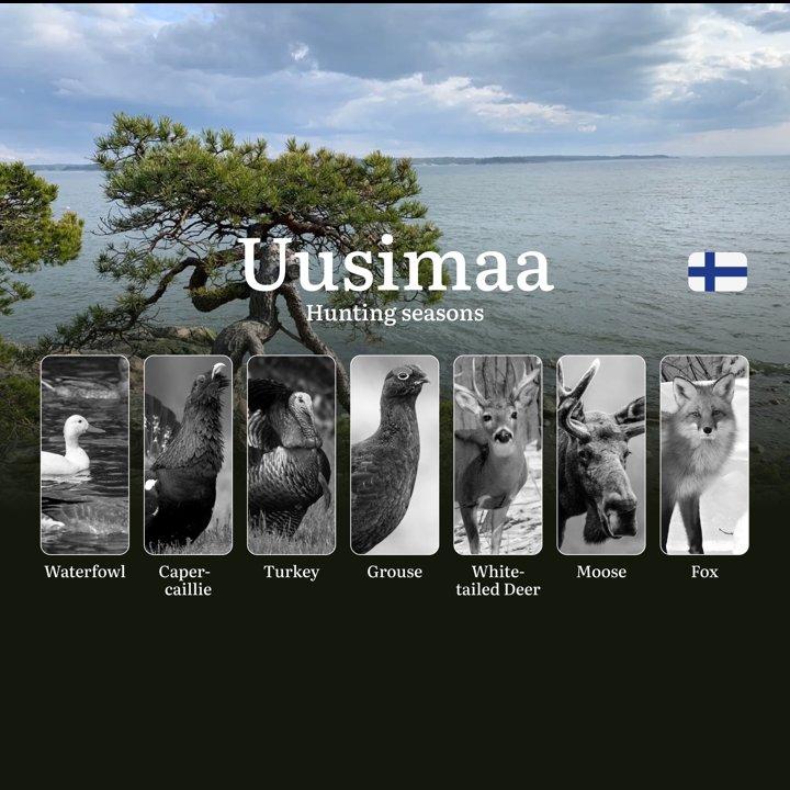 Hunting Seasons <strong>in</strong> UUSIMAA: Key Dates, Required Licenses, Seasonal Variations,  Prohibitions and Vital Rules

Uusimaa's hunting seasons blend traditional