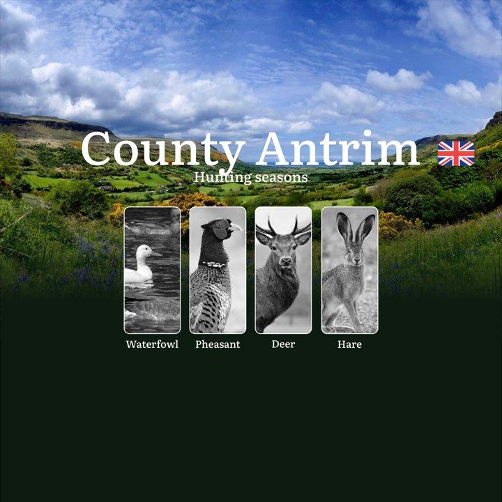 County Antrim Hunting Guide: Seasons, Licenses, Rules & Top Hunting Spots for Game Pursuit