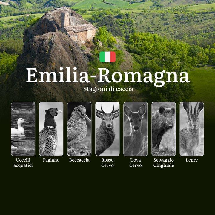 Caccia in Emilia-Romagna: Dalle Valli Comacchio all’Appennino, Il Calendario Venatorio, Stagioni e Regole da Conoscere
